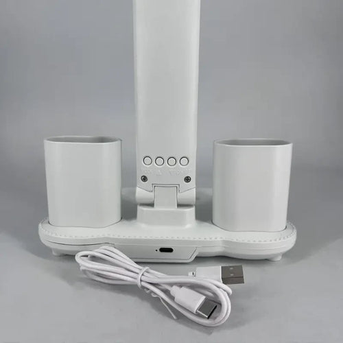 Double Head LED Desk Lamp